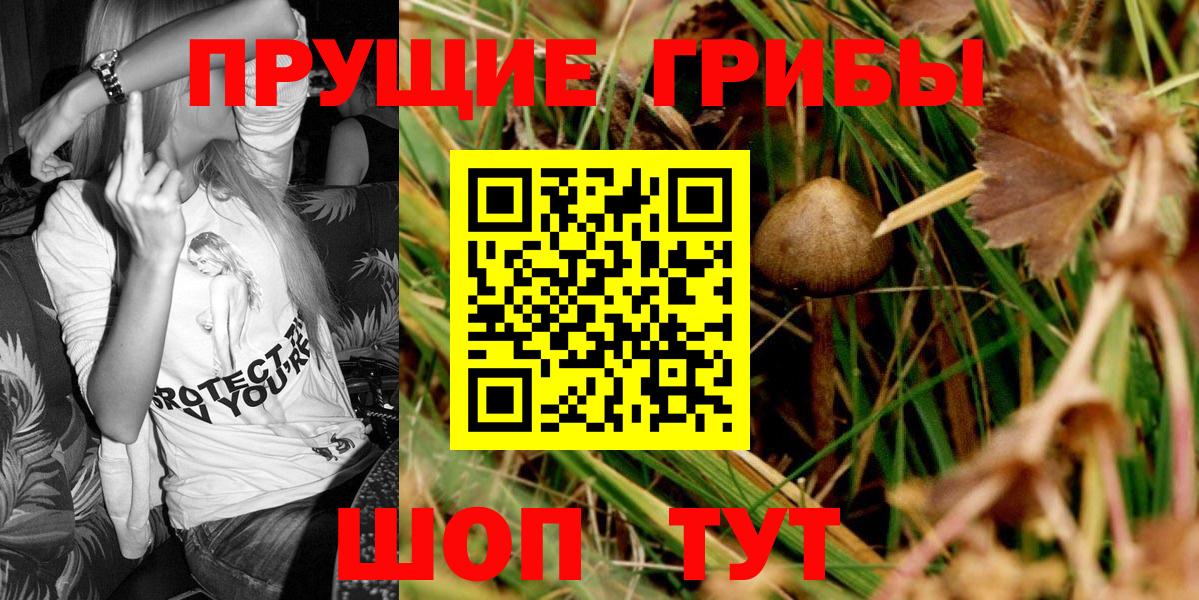Псилоцибиновые грибы Psilocybe  Галлюциногенные грибы Psilocybe  Коркино  Вход с VPN 